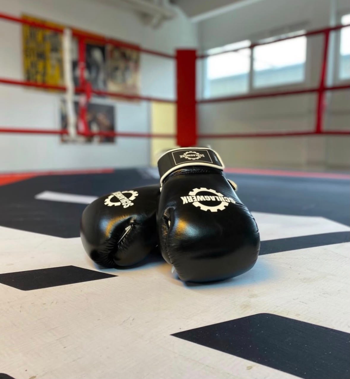 Boxhandschuhe im Ring